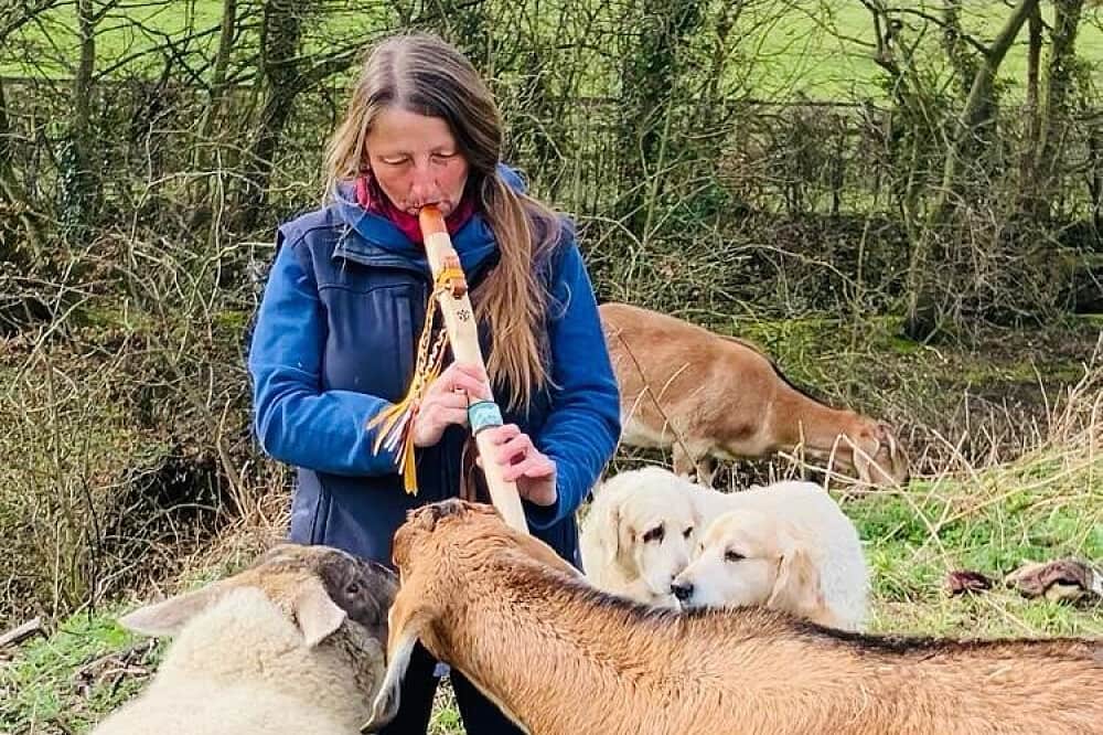 4 Day Equine & Essences Holistic Wellbeing Retreat, Essex, UK 3