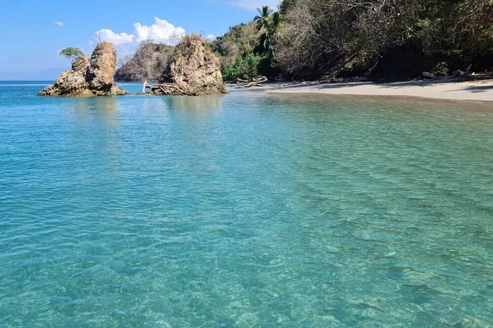 26 Day 200 HR 'Transform Your Passion" Integral YTT, Costa Rica 7