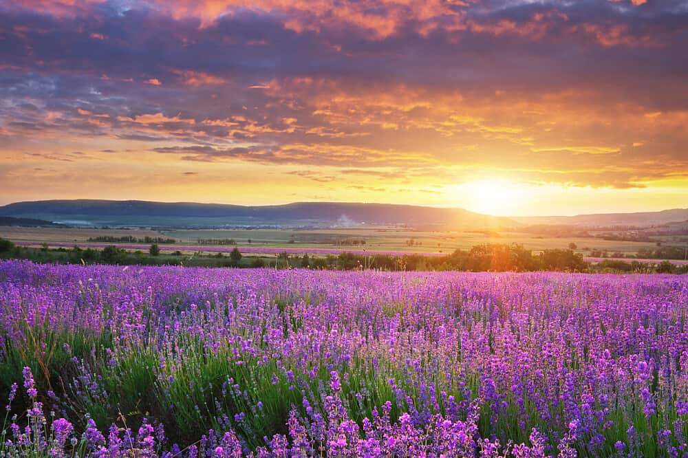 7 Day 'Freedom from Trauma' Therapy Retreat, South of France 1