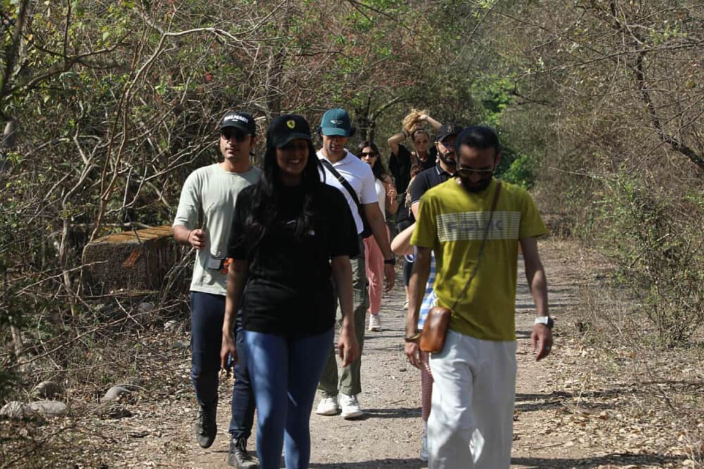 7 Day Detox & Rejuvenation: Solo Wellness Escape, India 5