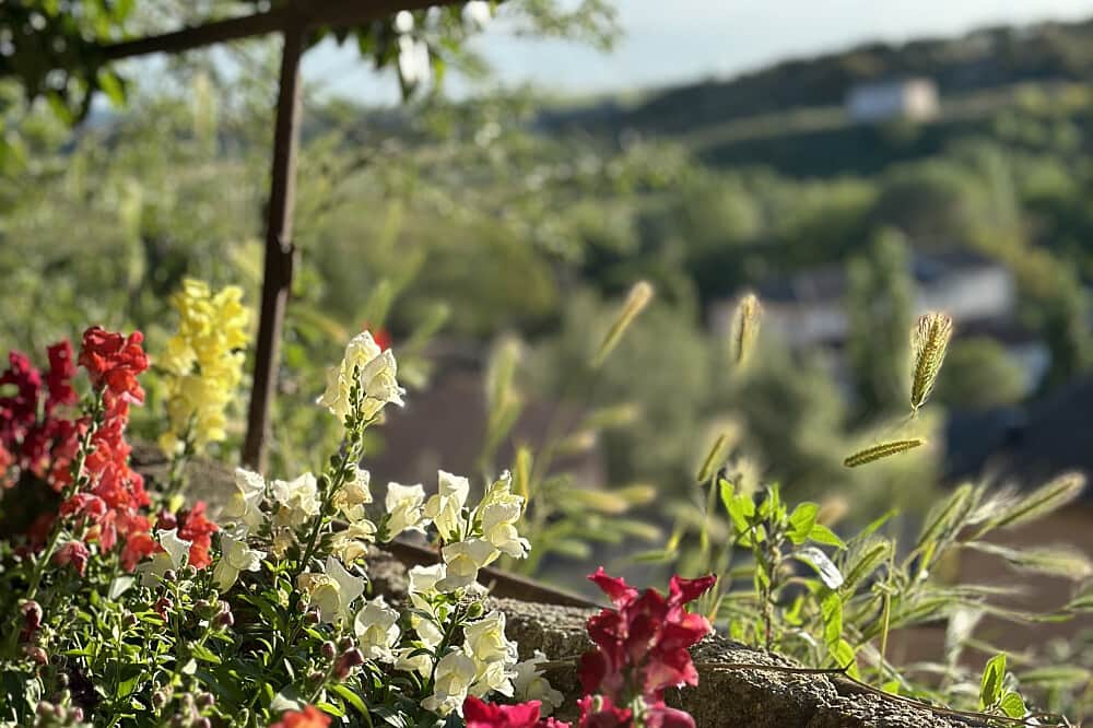 5 Day Yoga Retreat in Unspoiled Spain, 1 hour from Madrid 8