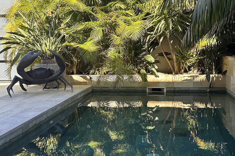 7 Day Yoga Alchemy, Embodiment Art & Conscious Hiking, Mallorca 6