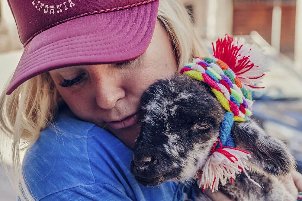 2 Day Alpaca Yoga Retreat and Llama Farm Experience in Peru 2