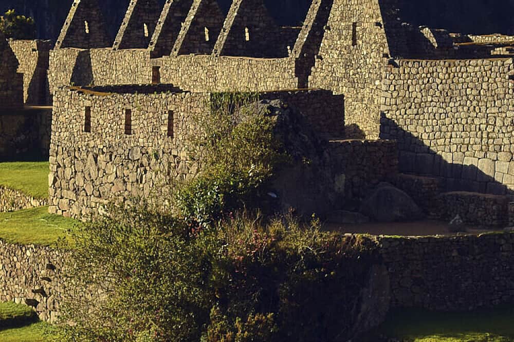 4 Day Llama Retreat Trek To Machu Picchu, Peru 7