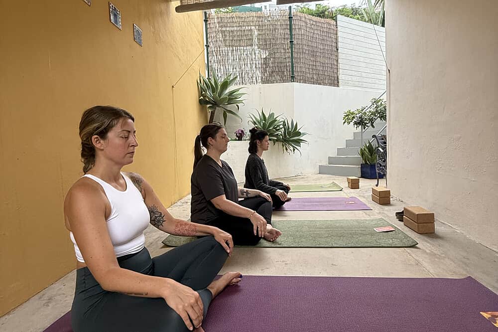 7 Day Private Ocean View Yoga Retreat in Tenerife 4