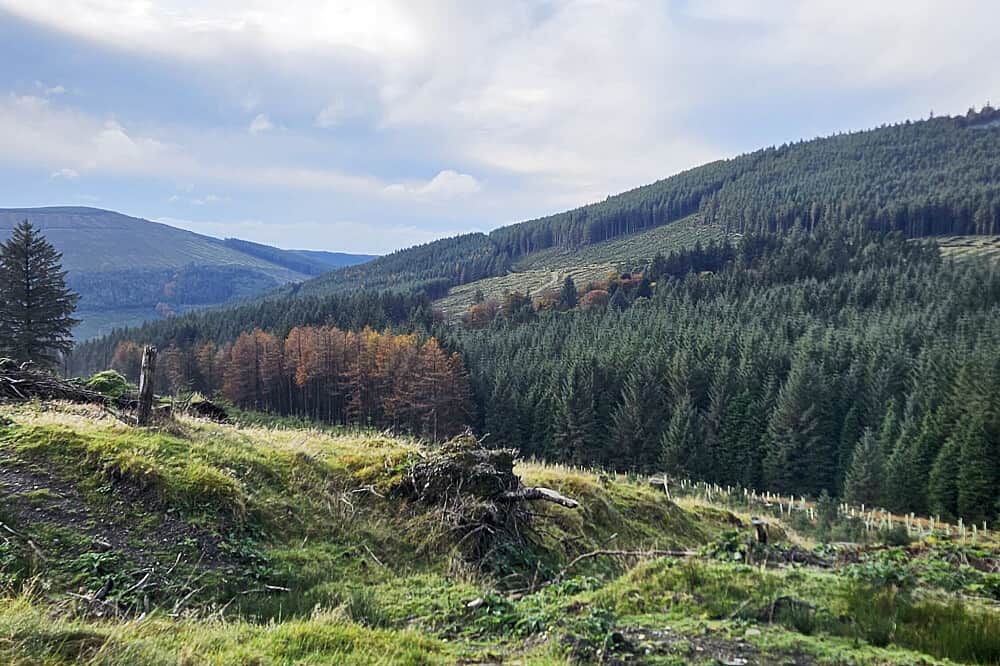 3 Day Yoga & Somatics Weekend Retreat in Wicklow, Ireland 5