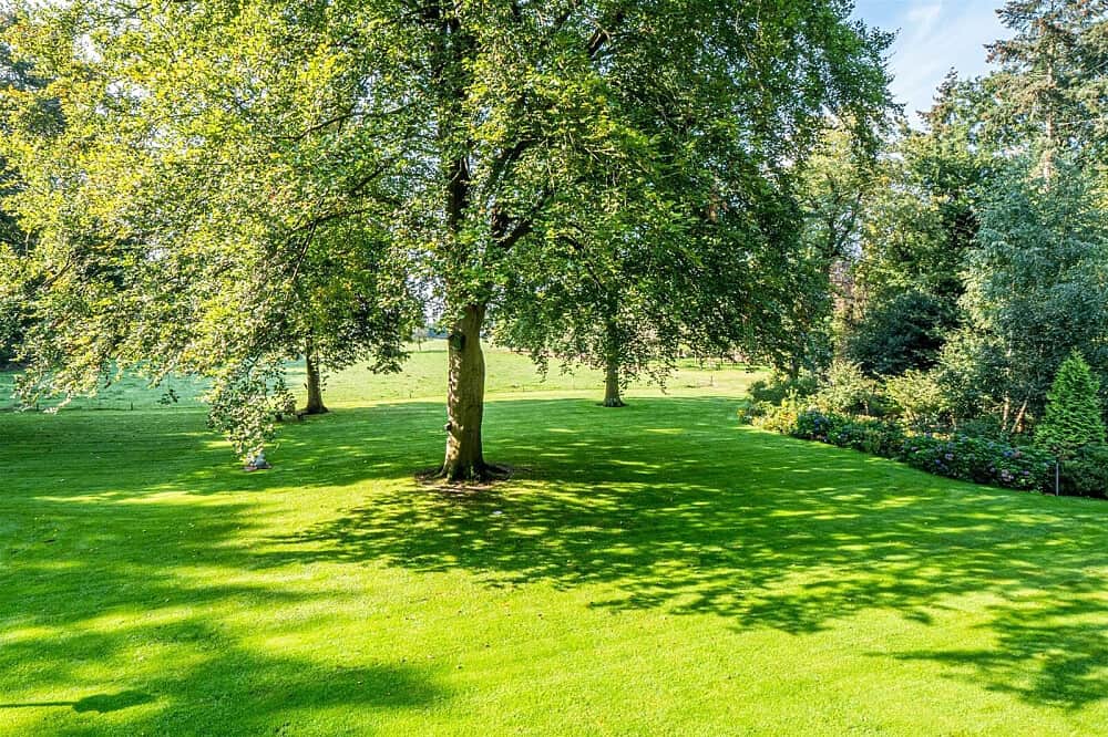 4 Day Yoga Vipassana Retreat by DSY in the Netherlands 3