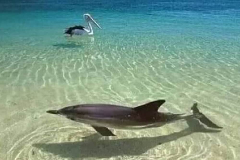 4 Day Luxury Waterfront Yoga Retreat in Sunny Florida, US 1