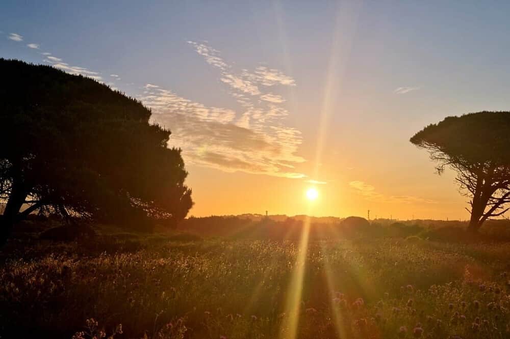 4 Day Magic Tea Ceremony Retreat near Lisbon, Portugal 2