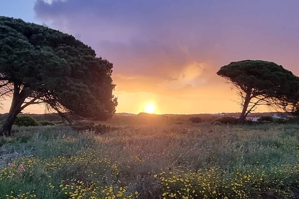 4 Day Magic Tea Ceremony Retreat near Lisbon, Portugal 4