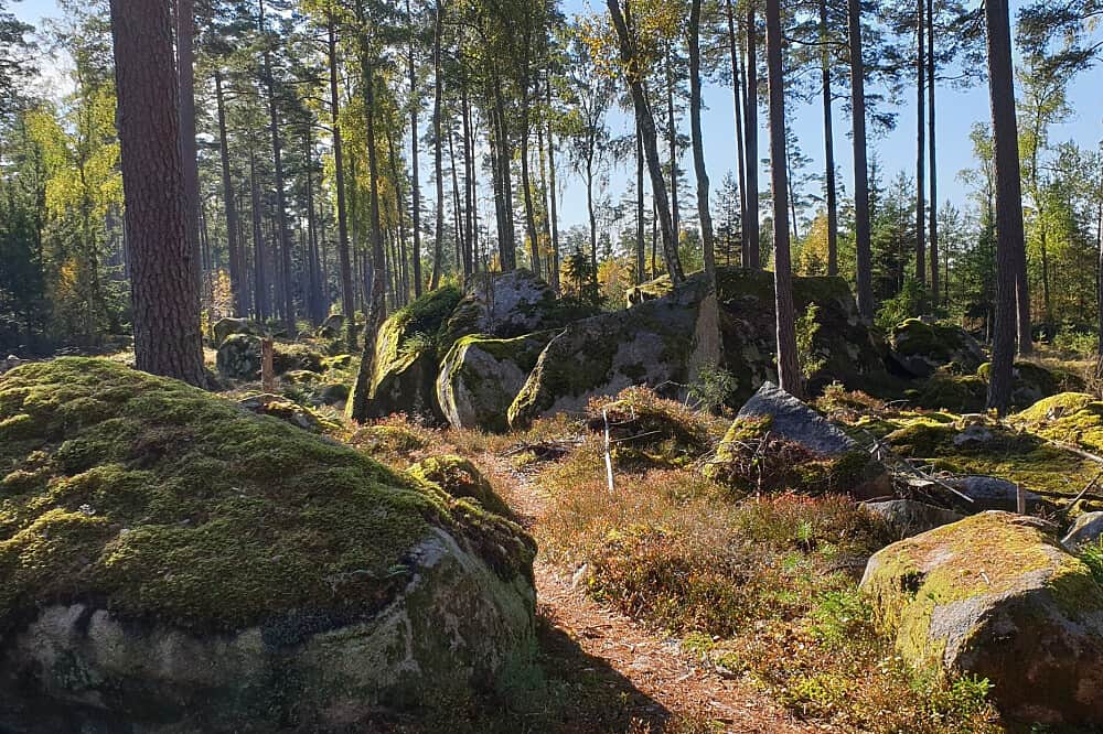 7 Day 'Back to your Essence' Individual Silent Retreat in Sweden 6