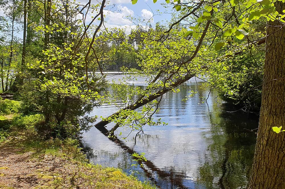 7 Day 'Back to your Essence' Individual Silent Retreat in Sweden 7