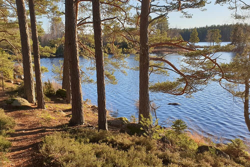 7 Day 'Back to your Essence' Individual Silent Retreat in Sweden 5