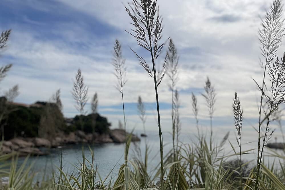 3 Day Creativity Reboost Seaside Retreat in South of France 4