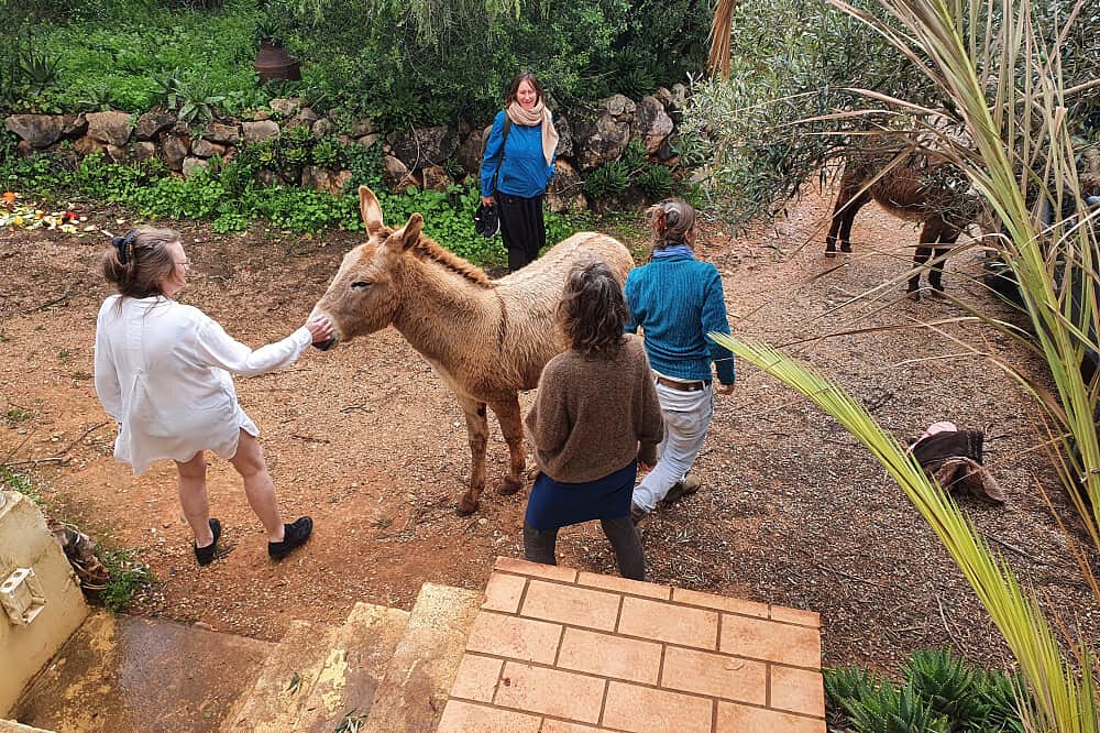 31 Day Healing, Reconnection & Self-Discovery Retreat in Portugal 8