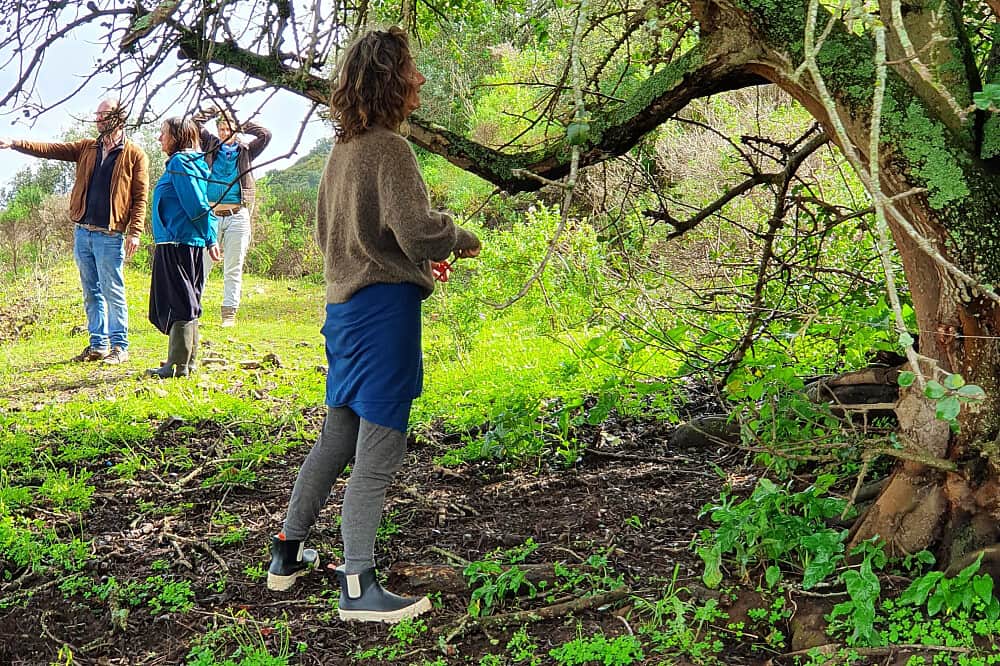 31 Day Healing, Reconnection & Self-Discovery Retreat in Portugal 7