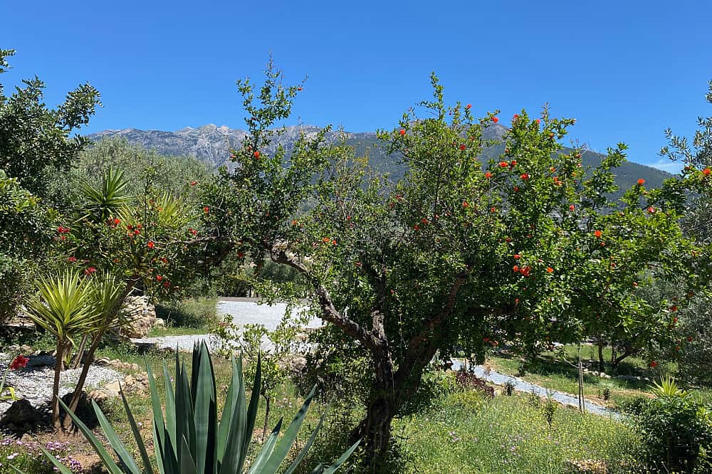 7 Day All-Inclusive Deep Relaxation Retreat in Malaga, Spain 5