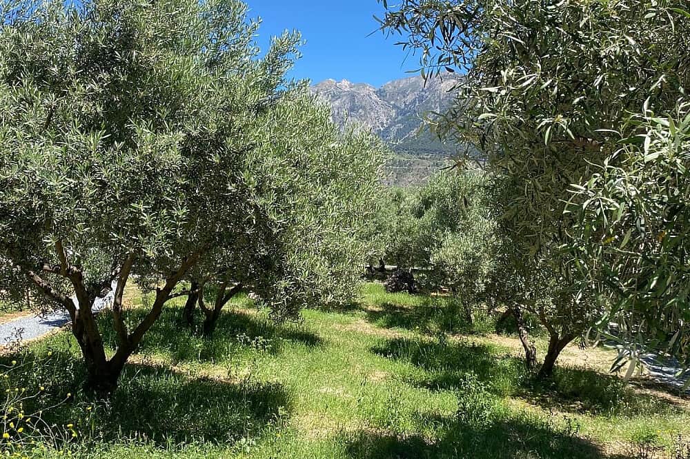 7 Day All-Inclusive Deep Relaxation Retreat in Malaga, Spain 4