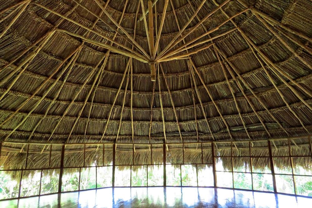 5 Day Amazon Vegetarian/Vegan Cooking & Yoga Retreat in Peru 6