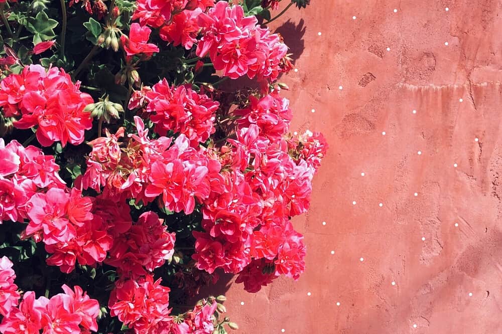 6 Day Emotional Release + Digital Detox & Breathwork in Italy 8