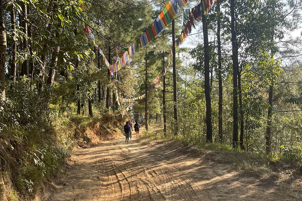 7 Day Healing & Magical Hiking Yoga Retreat on the Valley Rim 5