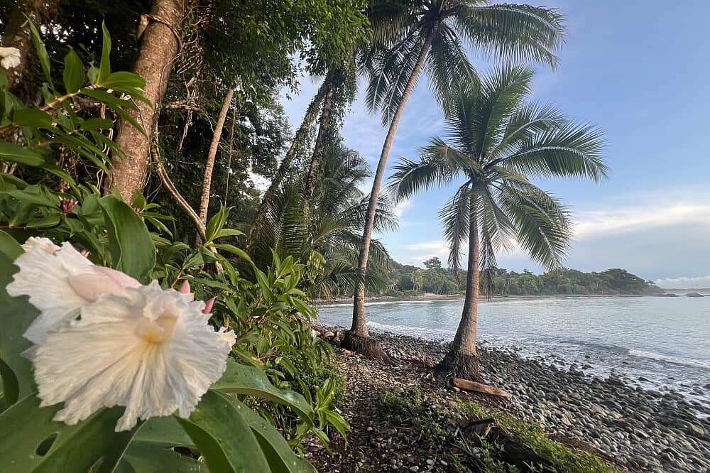 7 Day The Joy Retreat in Costa Rica 3