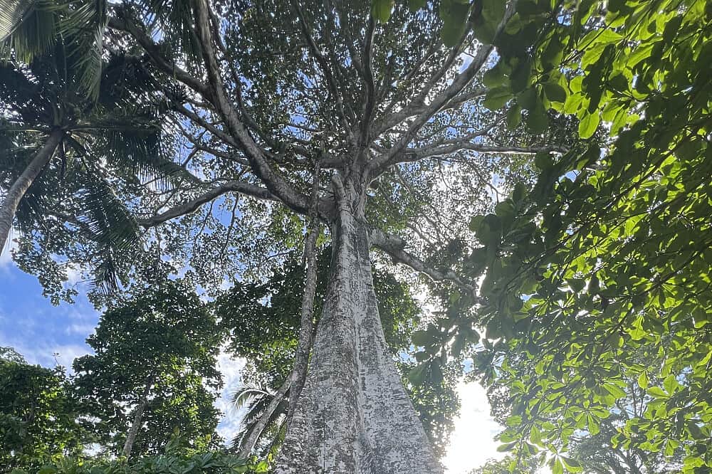 7 Day The Joy Retreat in Costa Rica 8