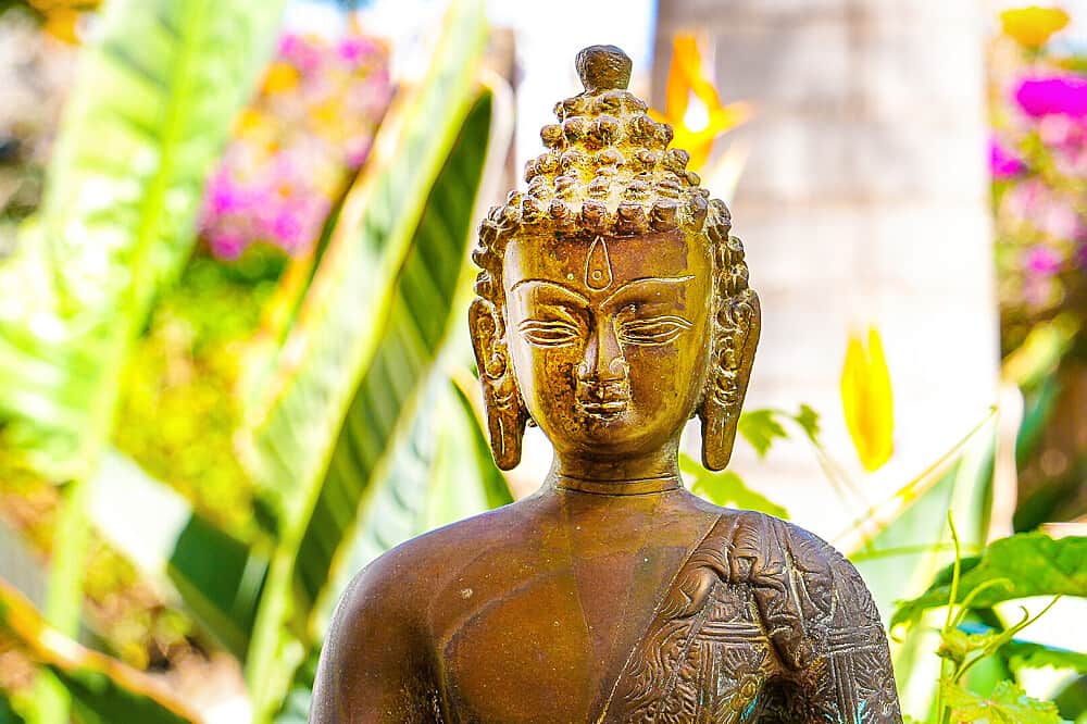 8 Day Holistic Yoga Retreat, Fuerteventura, Canary Islands, Spain 4