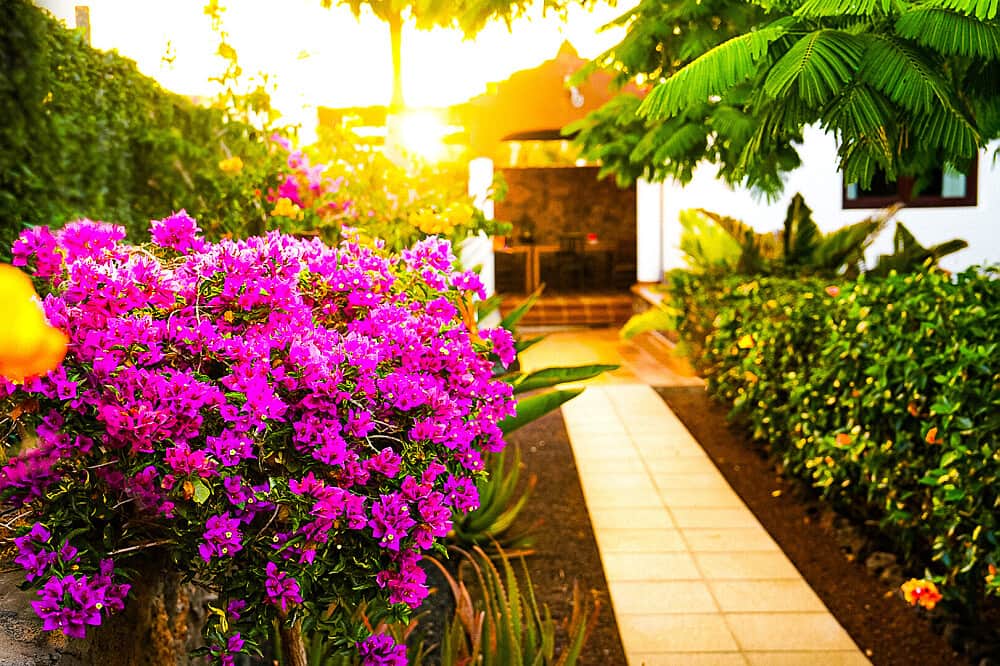 8 Day Holistic Yoga Retreat, Fuerteventura, Canary Islands, Spain 7