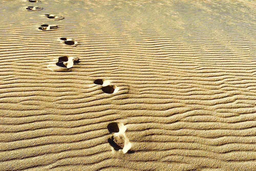 8 Day Holistic Yoga Retreat, Fuerteventura, Canary Islands, Spain 8