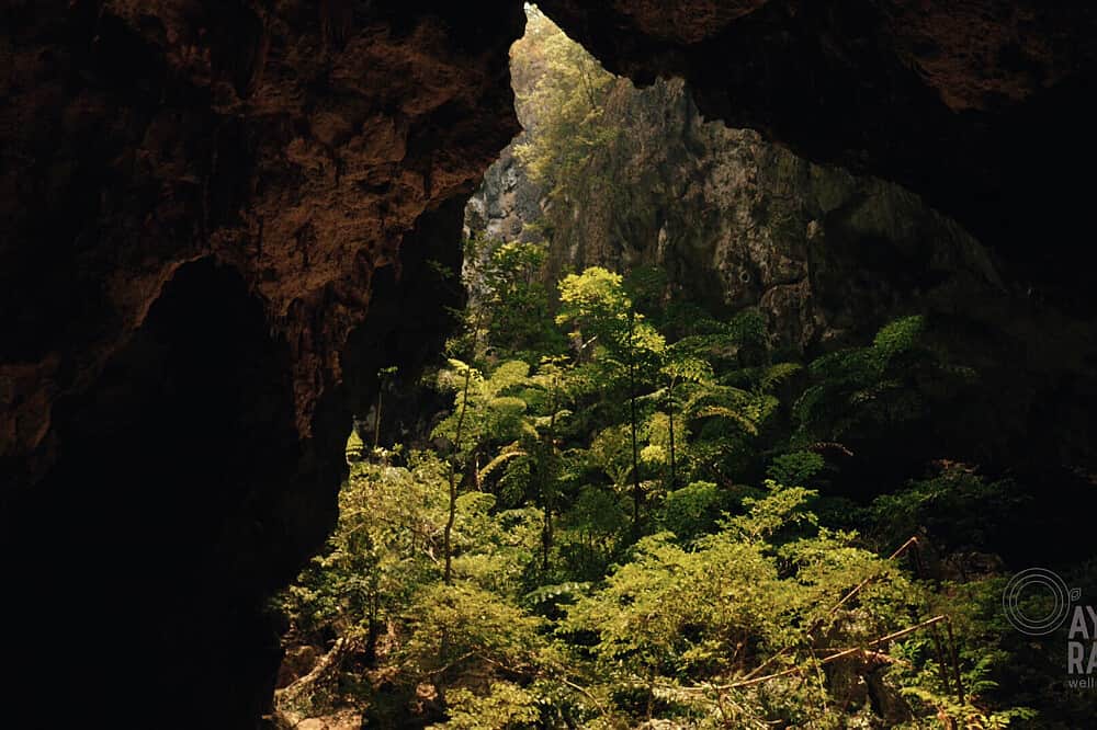 4 Day Nature Wellness Retreat Program in Hua Hin, Thailand 6