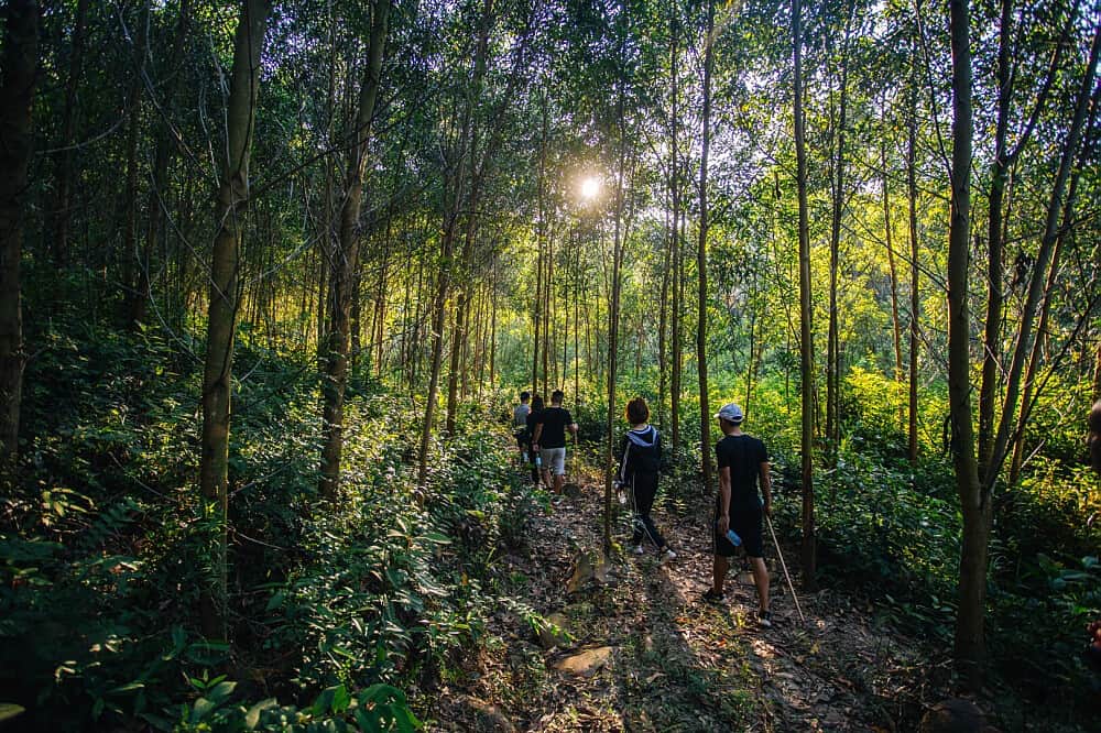 9 Day Detox Program and Cultural Journey in Hoi An - Hue, Vietnam 2