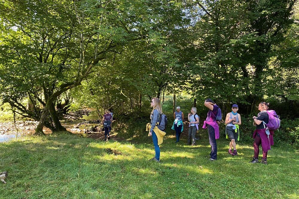 4 Day Harmonising Retreat: Transform, Ground & Renew in Wales 1