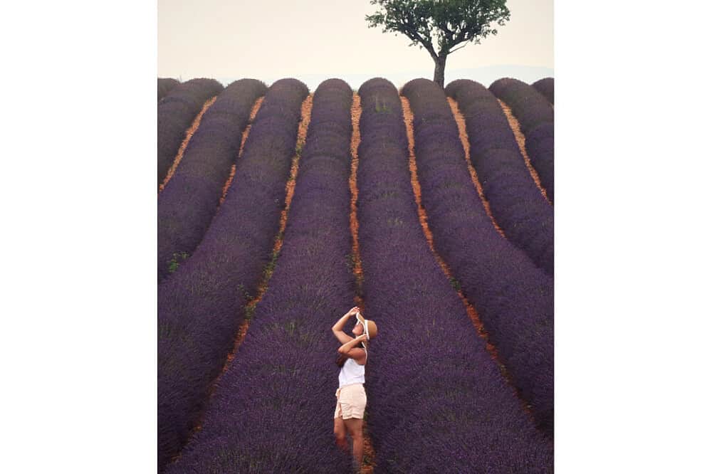 8 Day Women's Slow Living in Avignon, France 6