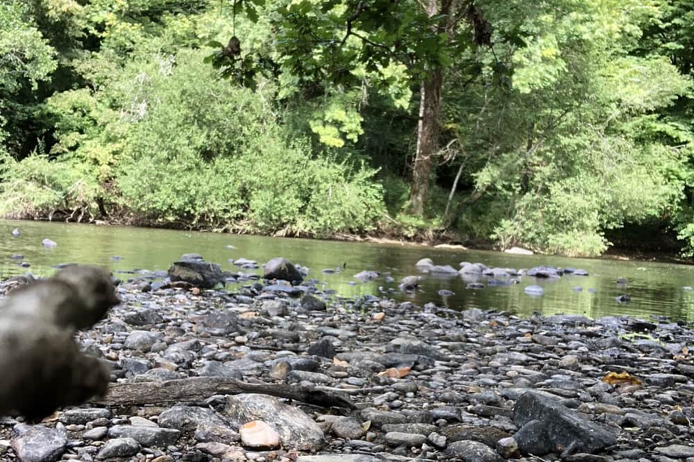 5 Day Soft Place to Land:Countryside Reset Women's Retreat,France 4