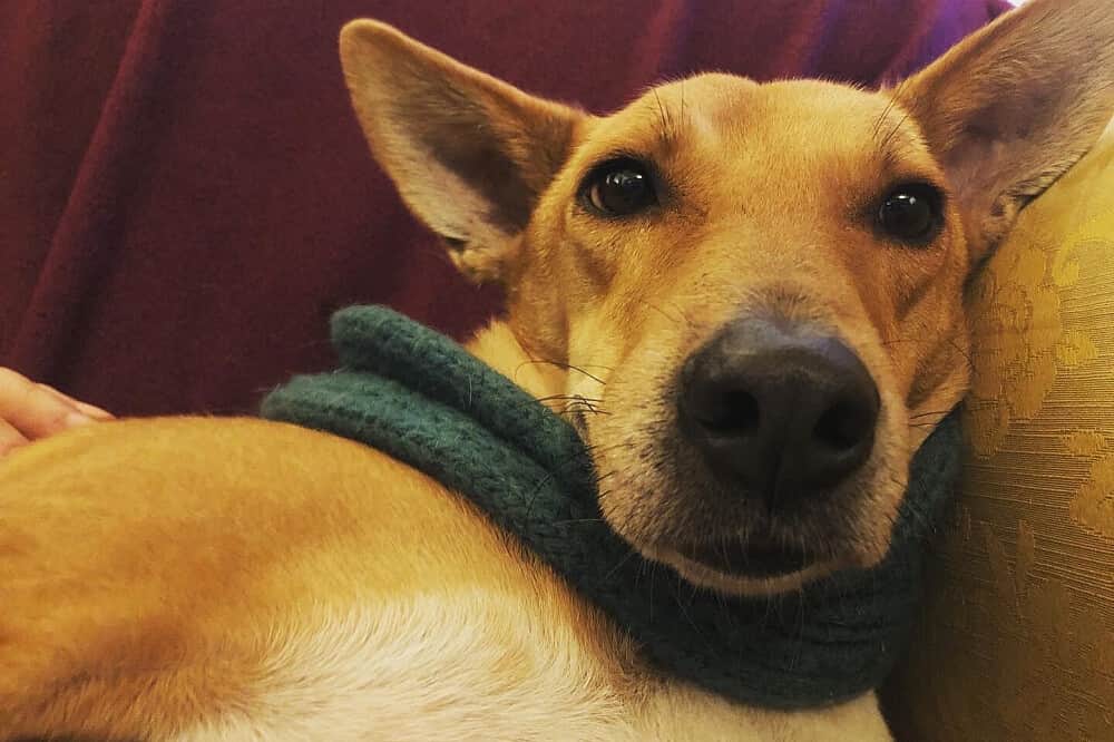 5 Day Soft Place to Land:Countryside Reset Women's Retreat,France 8