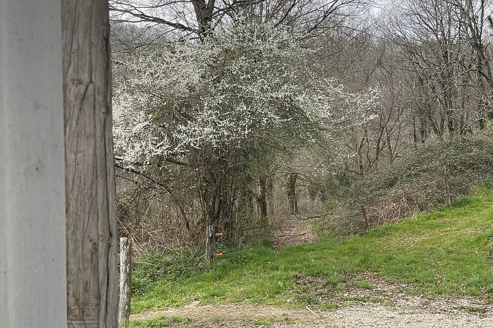 5 Day Soft Place to Land:Countryside Reset Women's Retreat,France 6