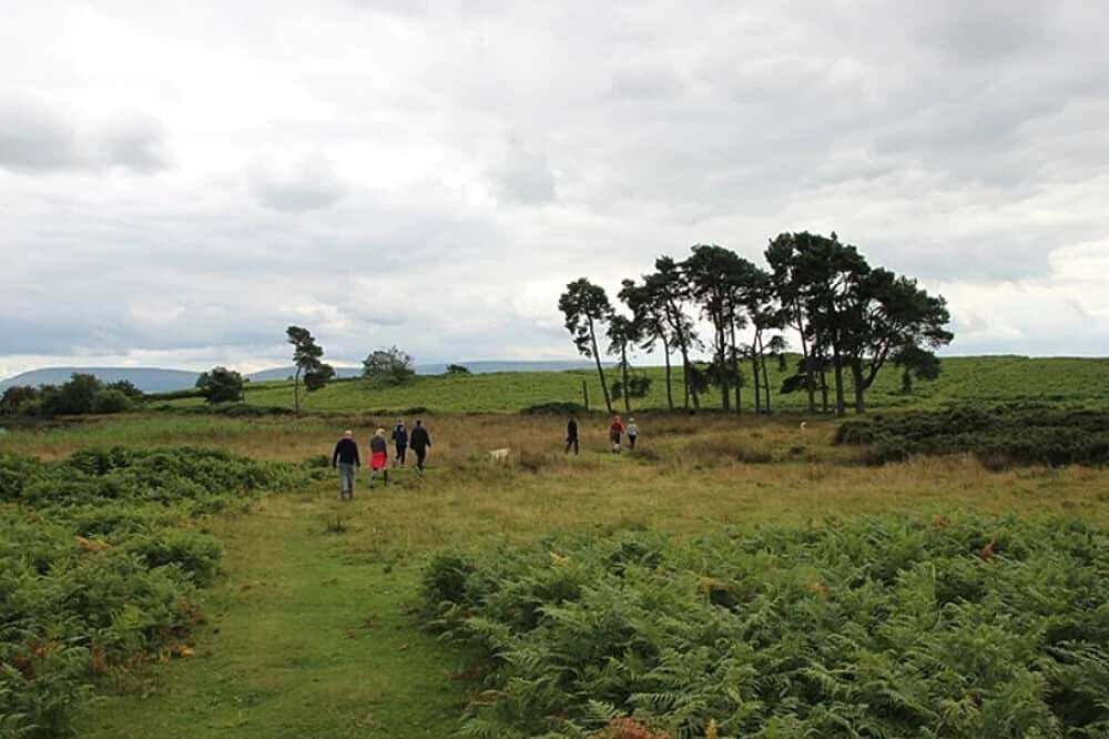 3 Day Queer Nature Retreat in Black Mountain, Wales 7