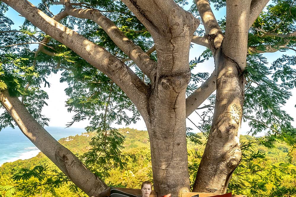 5 Day Nervous System Regulation&Stress Management Retreat, Mexico 5