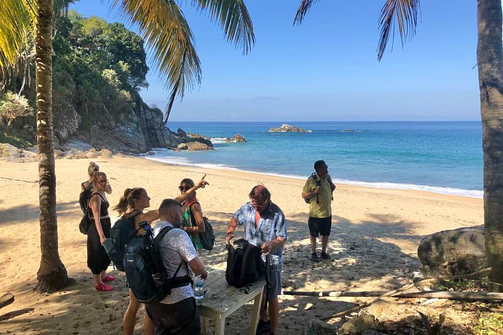 5 Day Nervous System Regulation&Stress Management Retreat, Mexico 1