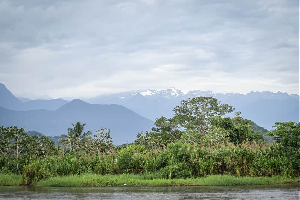 6 Day Immersion: Spanish, Yoga & Nature in Palomino Colombia 8