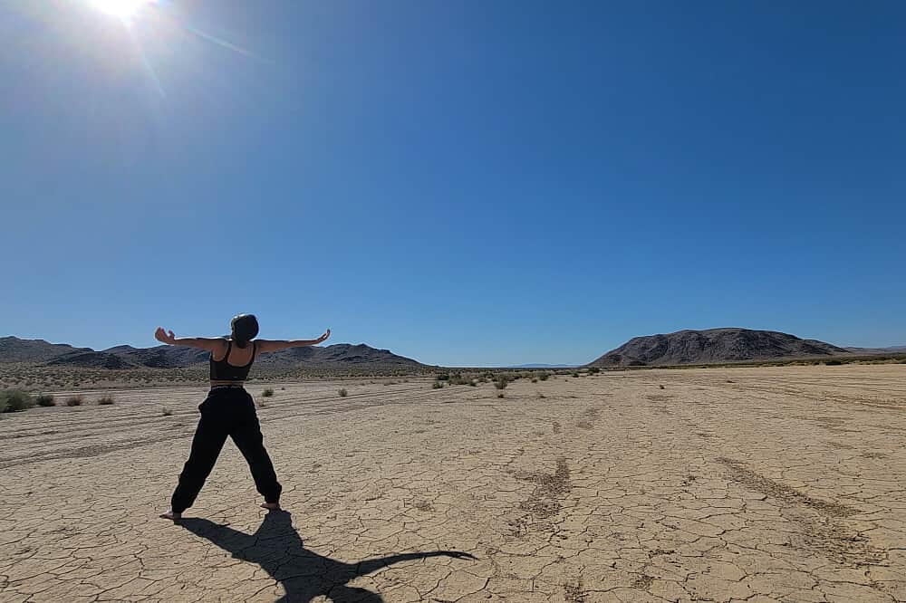 4 Day Executive Performance Optimization Retreat, Joshua Tree, US 6