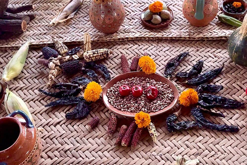 7 Day Return to Joy Wellness Retreat, San Miguel, Mexico 4