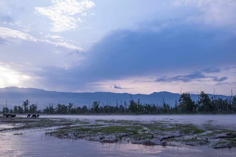 3 Day Self Mastery Meditation Retreat in Rishikesh, India 3