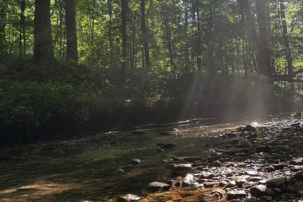 3 Day Women's Backpacking Adventure in Alabama, USA 7