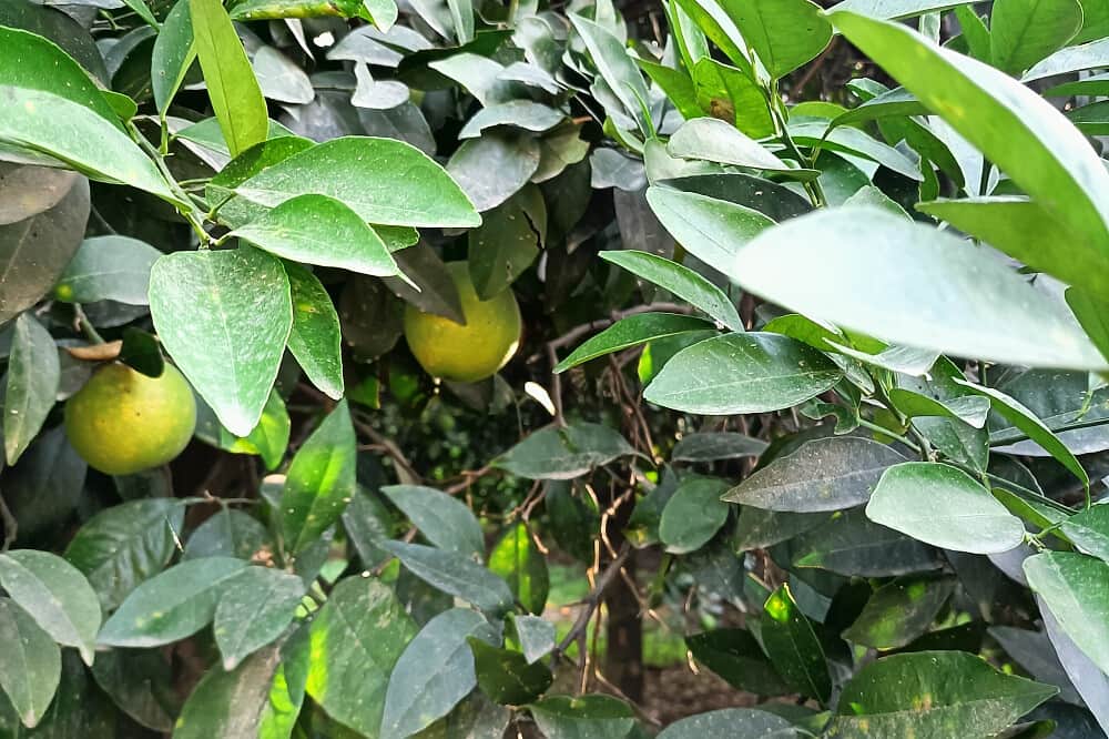 7 Day Holistic Balance Wellness Retreat in Antalya, Turkey 6