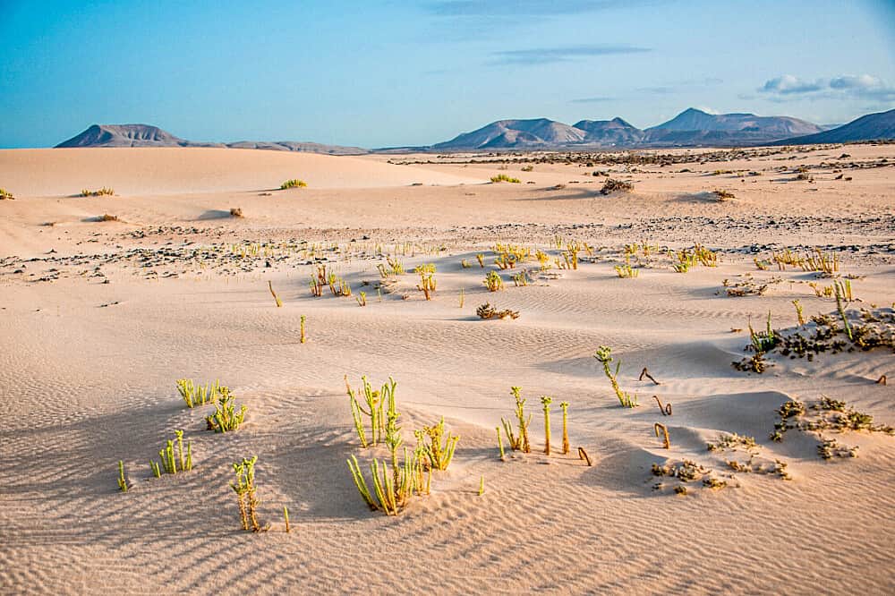 8 Day Active Hiking & Yoga Holiday in Corralejo, Spain 2