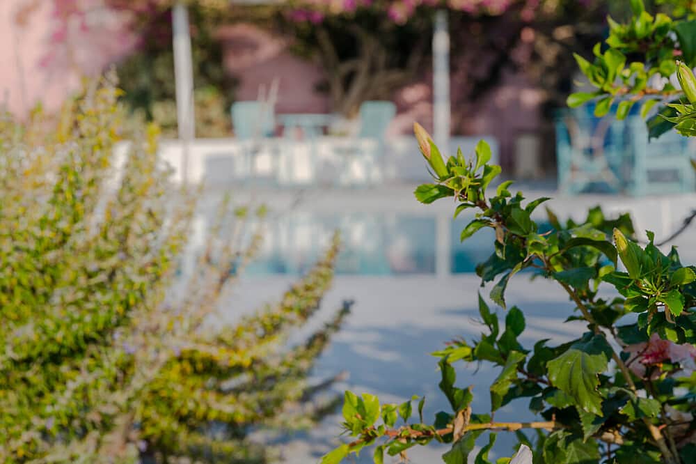 5 Day Yoga Retreat on Magical Santorini, Greece 7