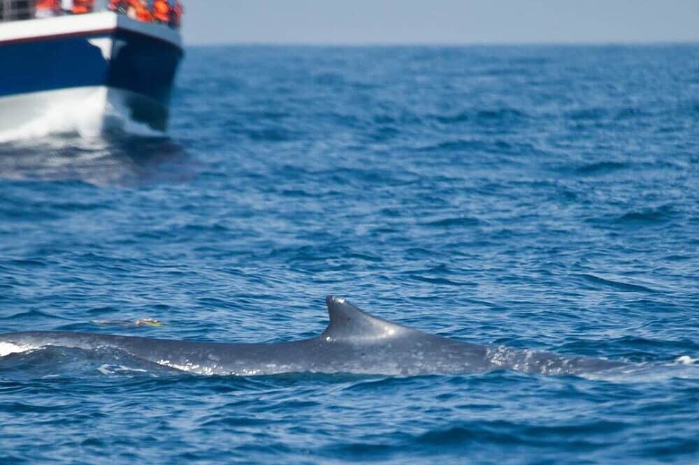 4 Day Yoga Retreat: Find Your Balance & Bliss, Bentota, Sri Lanka 4