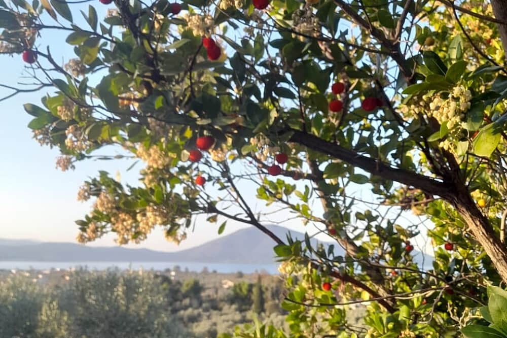 5 Day Thermal Springs Vegan Yoga Retreat with a Naturopath in Greece 7